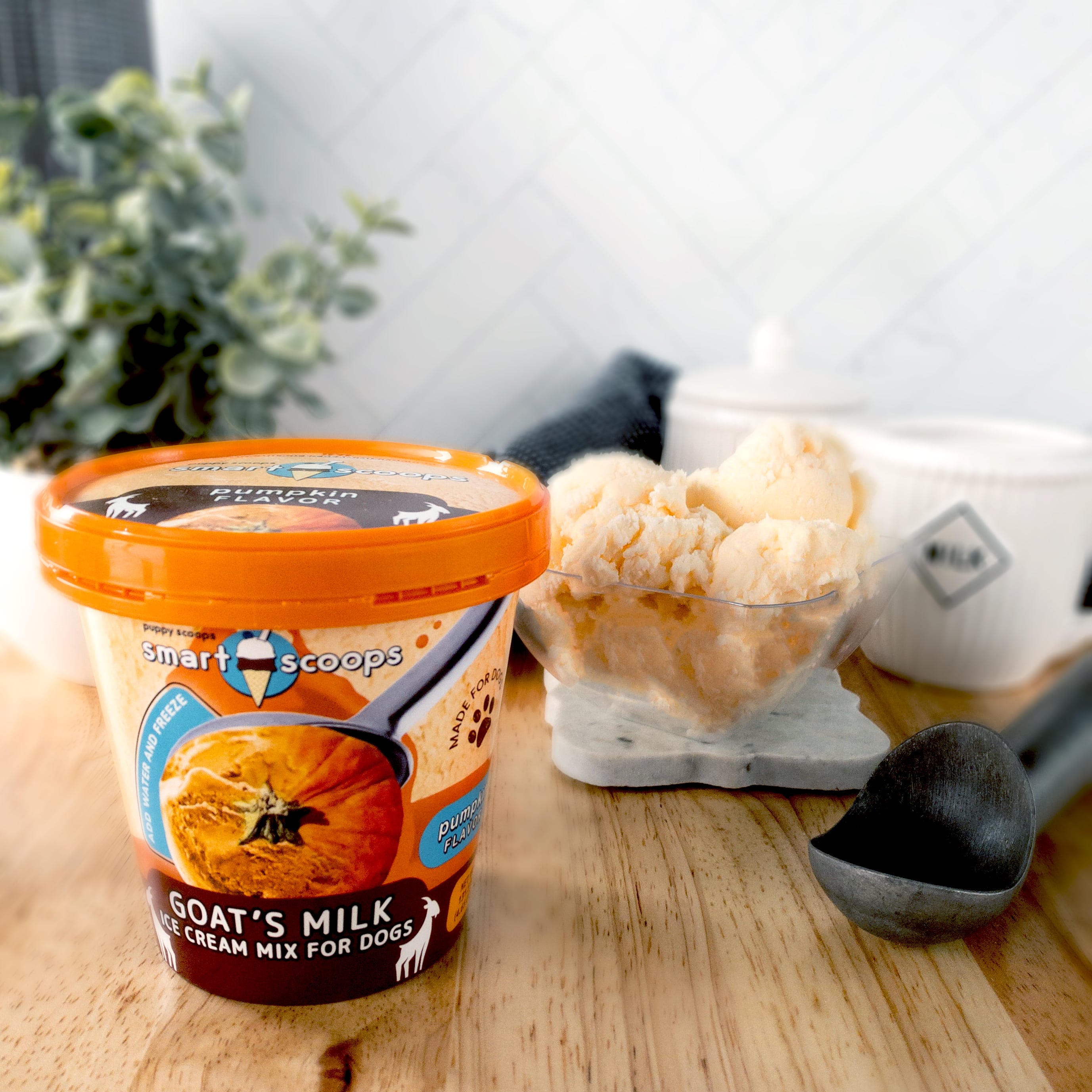 Puppy Cake - Smart Scoops Goat's Milk Ice Cream Mix - Pumpkin #SSPK