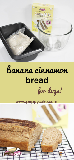 Banana Cinnamon Bread for Dogs!