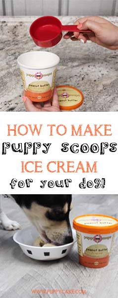 Puppy Scoops Ice Cream Mix - Vanilla