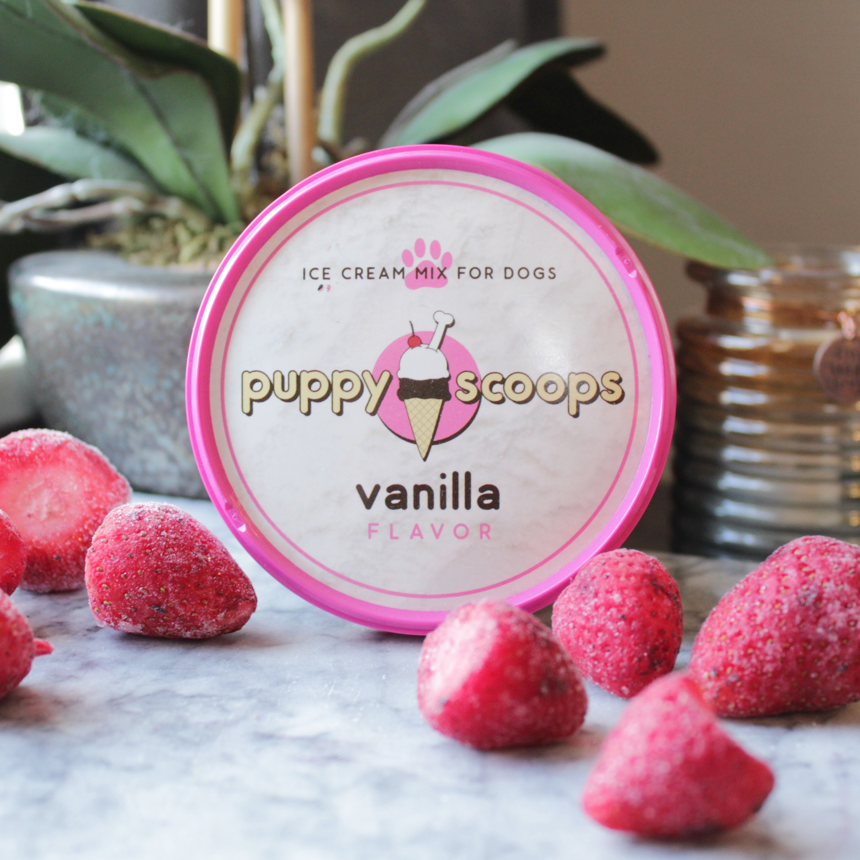 Puppy Scoops Ice Cream Mix - Vanilla