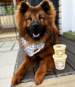 Hoggin' Dogs Ice Cream Mix - Banana - OLDHDBAN