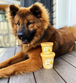 Hoggin' Dogs Ice Cream Mix - Cheese - OLDHDCH