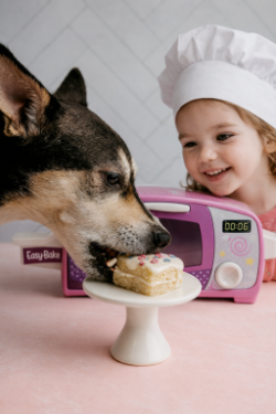 Puppy Cake Junior for Easy Bake Ovens - Birthday Cake Flavor 2 Refills - Cake, Icing, Sprinkles and Candles - JRBC