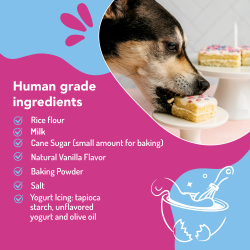 Puppy Cake Junior for Easy Bake Ovens - Birthday Cake Flavor 2 Refills - Cake, Icing, Sprinkles and Candles - JRBC