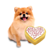Puppy Love Cake Kit - LOVEKIT