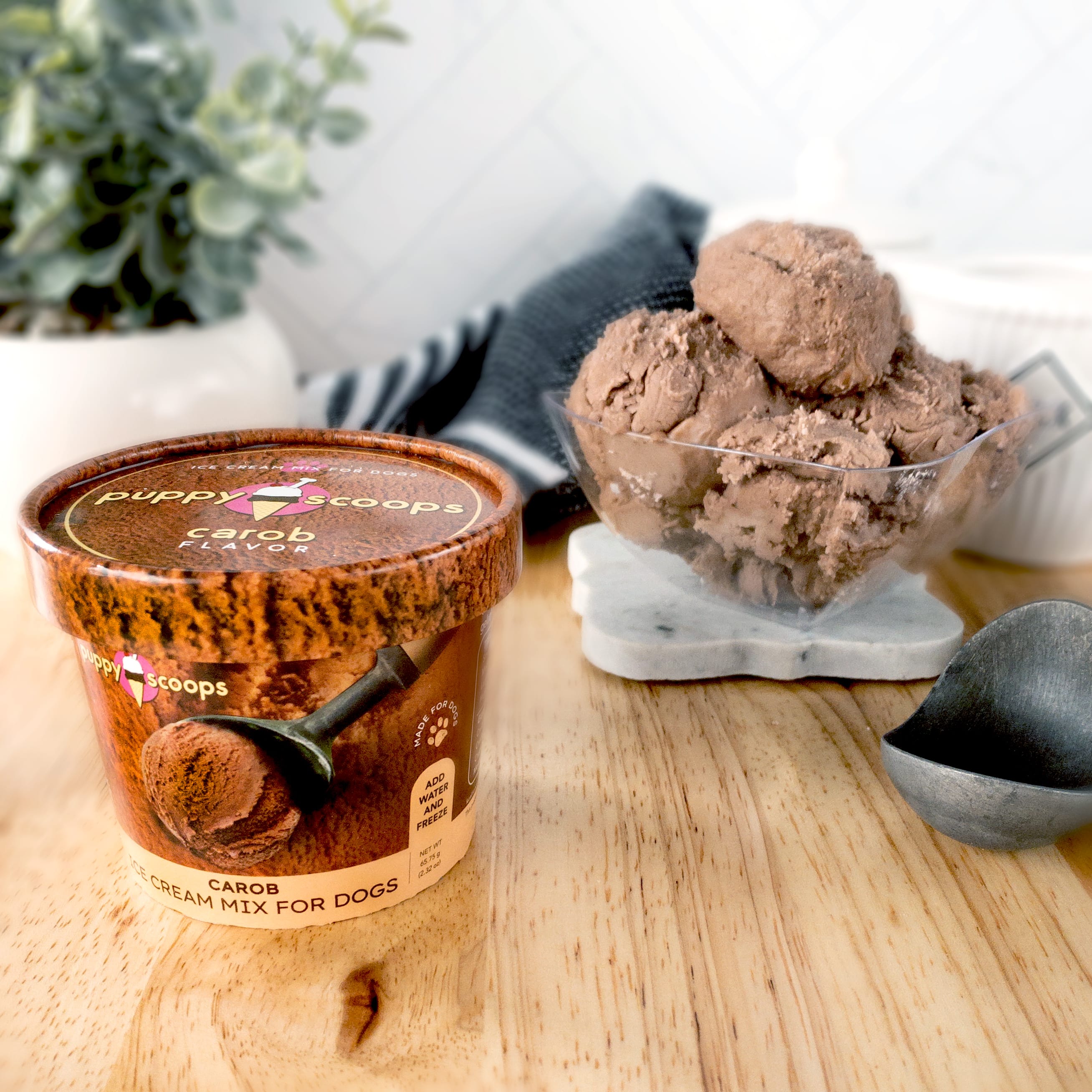 carob dog ice cream