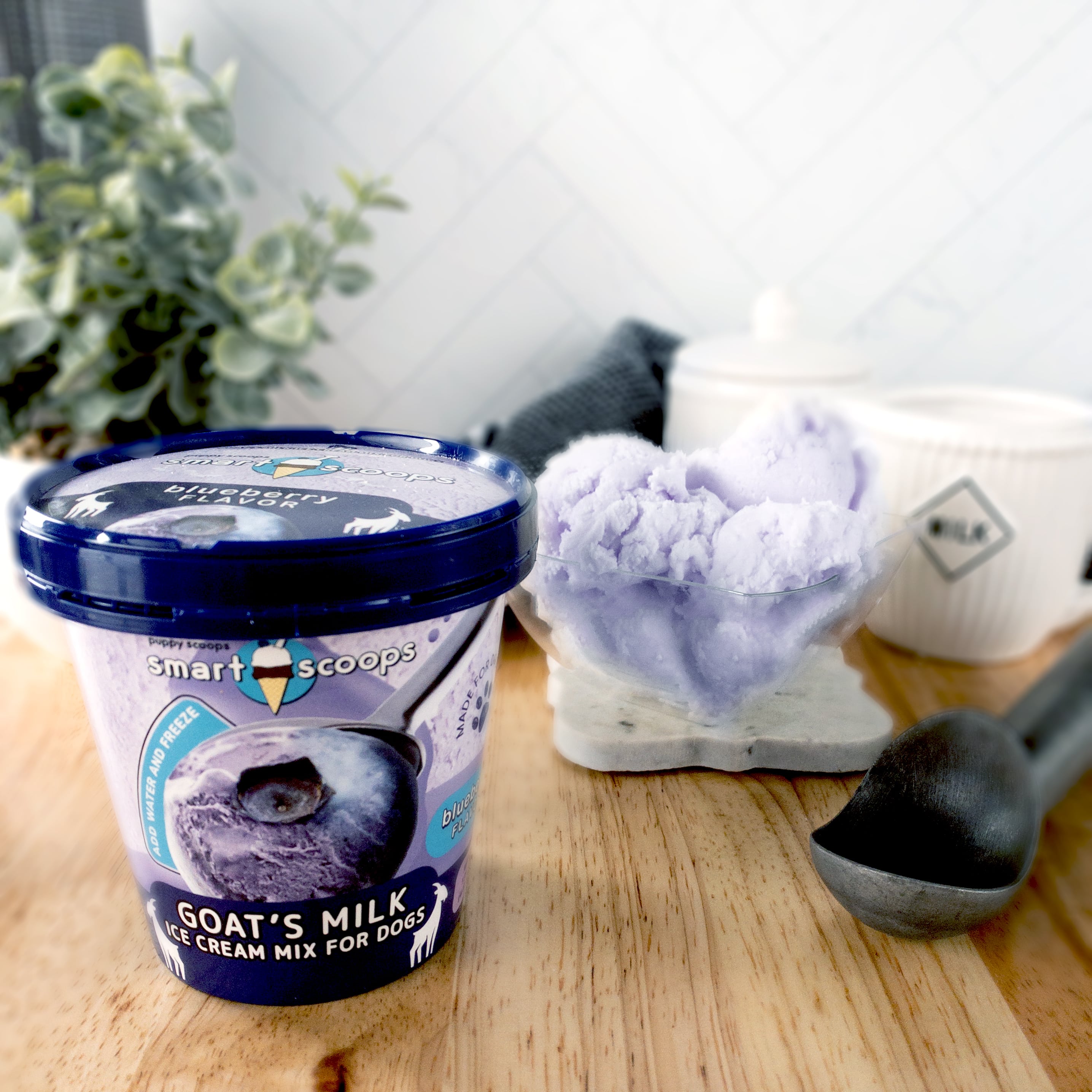 Smart Scoops Goats Milk Ice Cream Mix - Blueberry 6.15.2025 Expiration Date Ice Cream for dog, DIY treats for dogs, Puppy Scoops, Pumpkin Ice Cream for Dogs, Homemade Ice Cream for dogs, Healthy treats for dogs, Pumpkin Puppy Scoops, Puppy Scoops, Real Ice for Dogs, healthy ice cream for dogs, frozen treats for dogs, dog treats, homemade treats for dogs, fun treats to make for your dog, goats milk ice cream, goats milk, no sugar ice cream