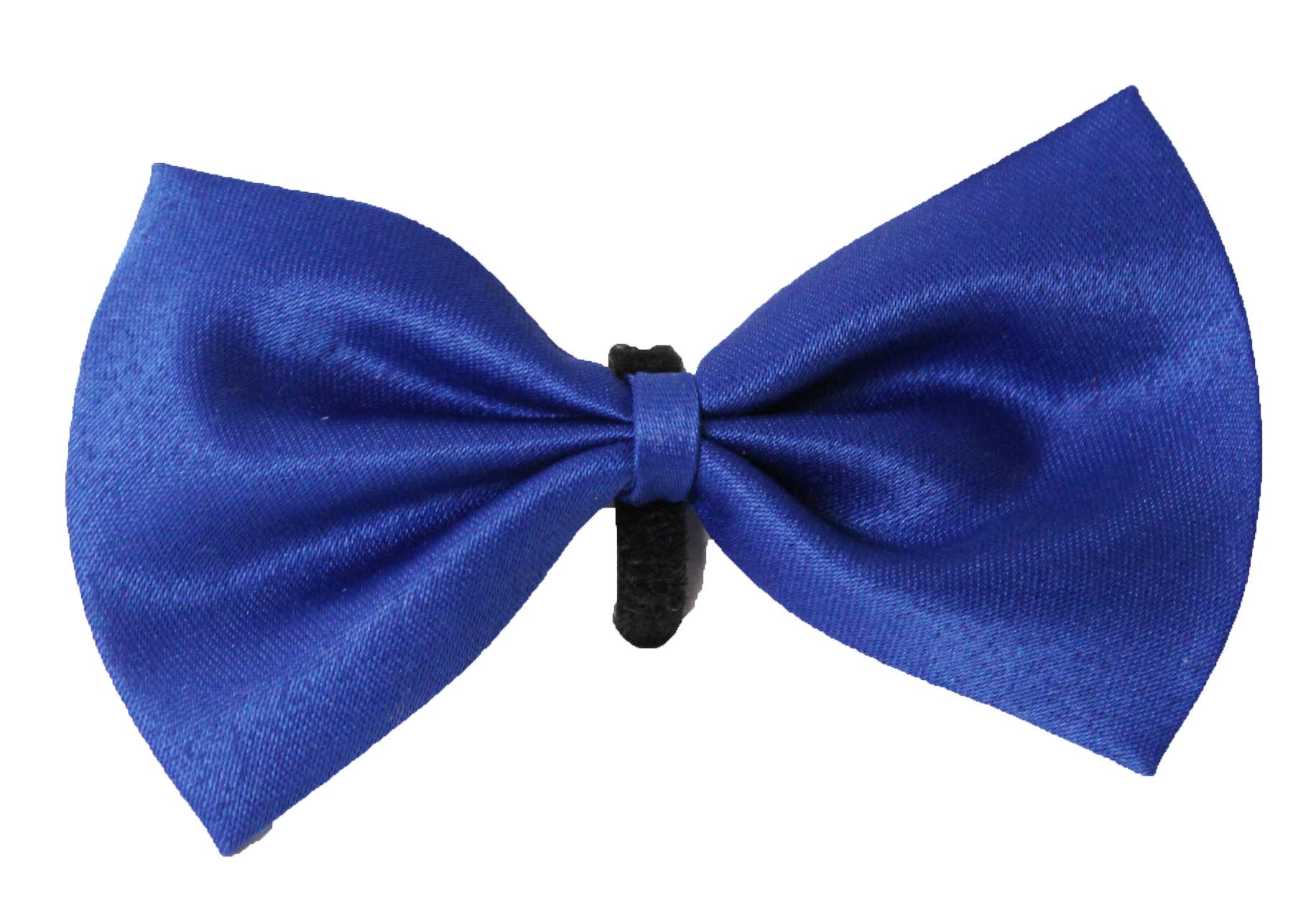 Blue Bow Tie